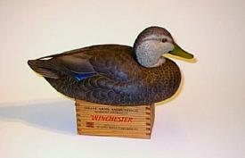 Drake Black Duck - right side view