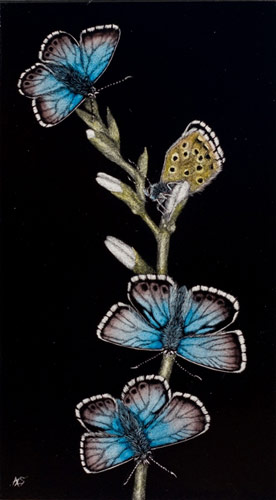 Butterfly Garden III (Blue Butterfly) - Wildlife Art by Amy L. Stauffer