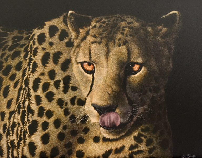 Hunger - Leopard - Wildlife Art by Amy L. Stauffer