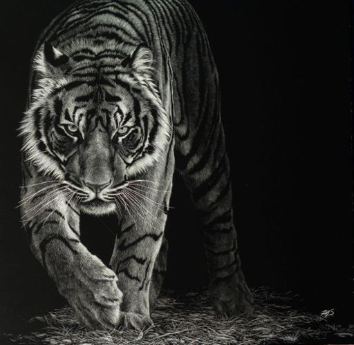 In the Darkness of the Night - Wildlife Art by Amy L. Stauffer