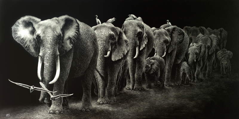 Leading the Herd - Wildlife Art by Amy L. Stauffer