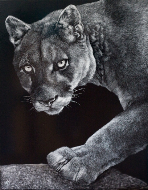 On The Prowl- Wildlife Art by Amy L. Stauffer