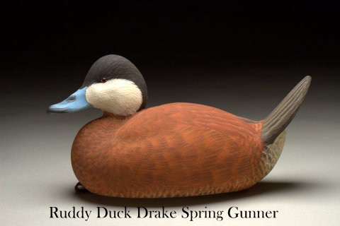 Ruddy Duck Drake Spring Gunner - carving by Ben Heinemann