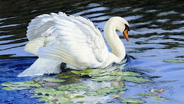 Silent Swan - painting by David Kiehm