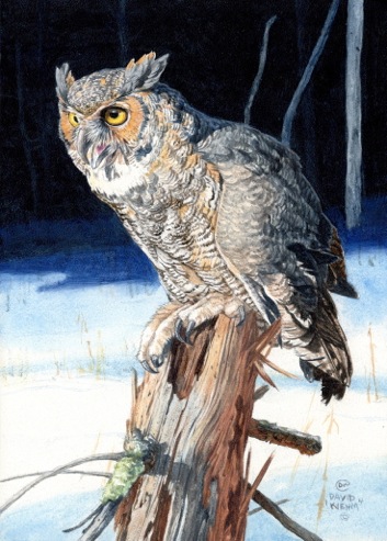 Great-horned Owl - l painting by David Kiehm