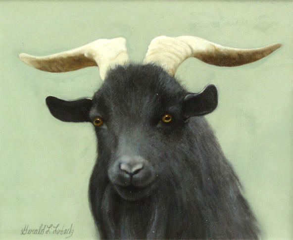 Black Ram by Gerald Lubeck