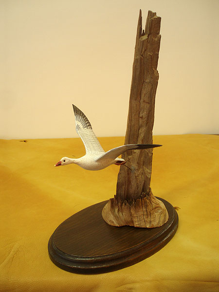 Flying Snow Goose Mini - carving by Gus Sjoholm
