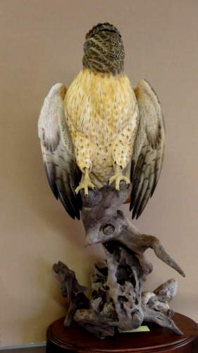Red Tail Hawk - carved by Harvey Wilson