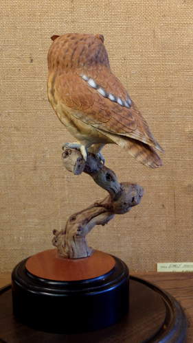 Screech Owl - 3/4 size  - carved by Harvey Wilsonj