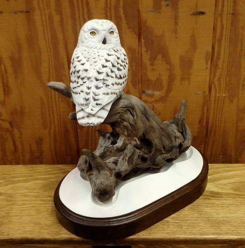 Snowy Owl - 1/2 size  - carved by Harvey Wilsonj