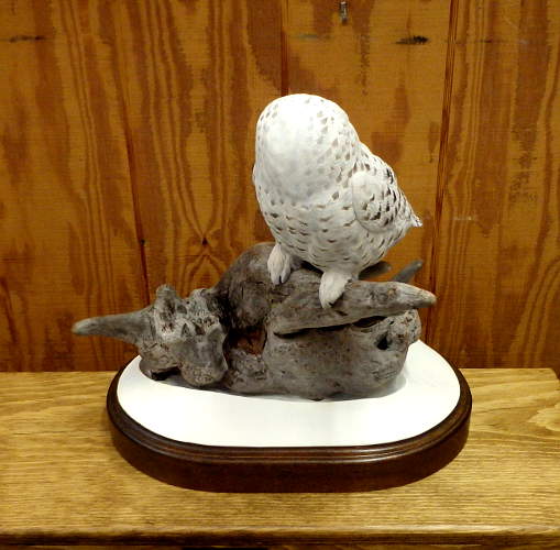 Snowy Owl - 1/2 size  - carved by Harvey Wilsonj