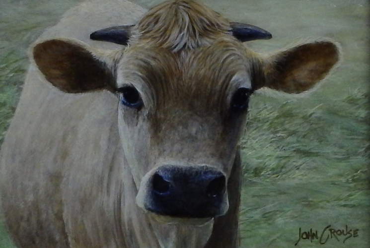 Jersey Heifer - painting  by John Crouse