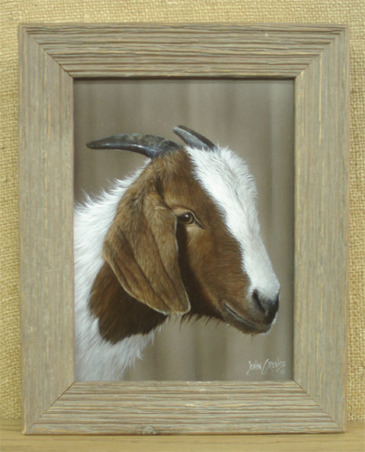 Goat by John Crouse