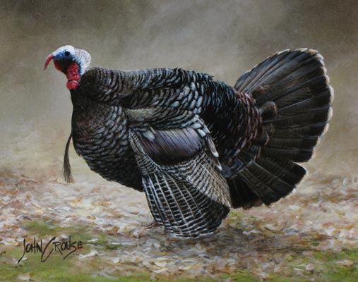 John Crouse Miniature Wild Turkey