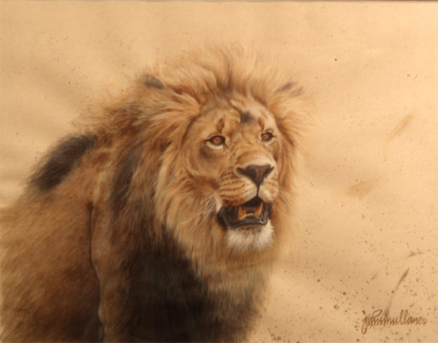Lion Studyby John Mullane