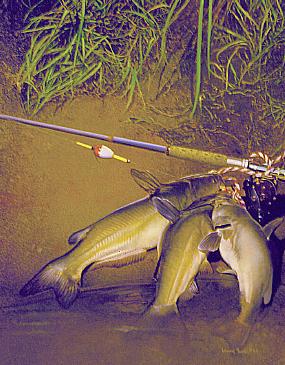 2000 Catfish Guide - Painting by Larry Tople