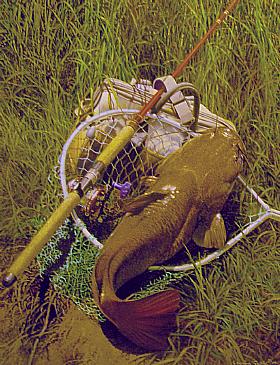 2001 Catfish Guide - Painting by Larry Tople