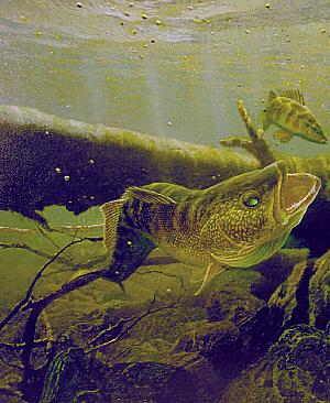 2002 Walleye Guide - Painting by Larry Tople