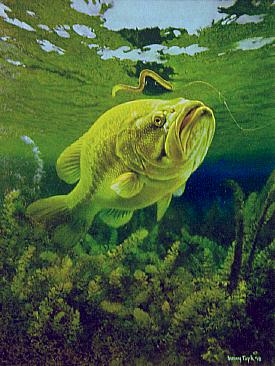 Largemouth Bass  - Painting by Larry Tople