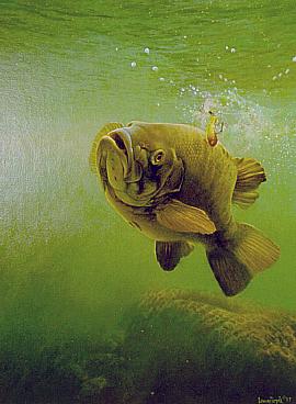 Smallmouth Bass  - Painting by Larry Tople
