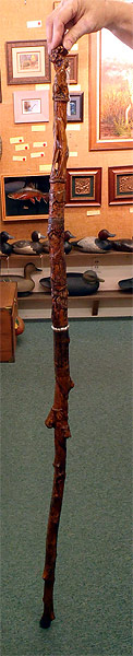 African Walking Stick  by Sue Eaton
