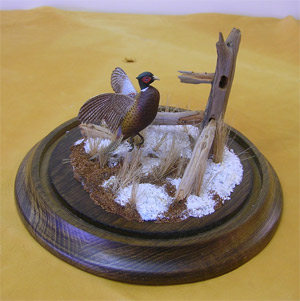 Ring Necked Pheasant carving by SJOHOLM