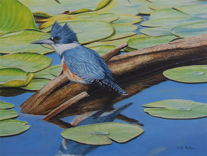 Reflective Pause by Darin Miller