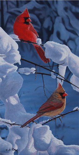 Sunlit Perch - Northern Cardinal - by Darin Miller