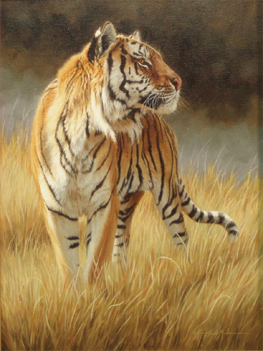 A Regal Pose - Tiger by Krystii Melaine