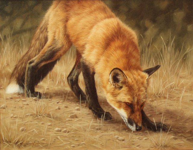 Something Smells Good - Red Fox by Krystii Melaine