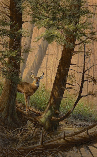 A Woodland Morning - painting by Linda Rossin