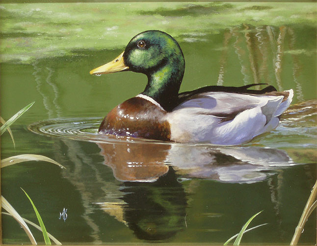 A Serene Swim - Acrylic by Mark Kelso