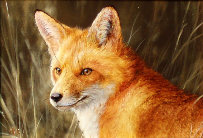 Lady in Red (Red Fox) - Acrylic by Mark Kelso