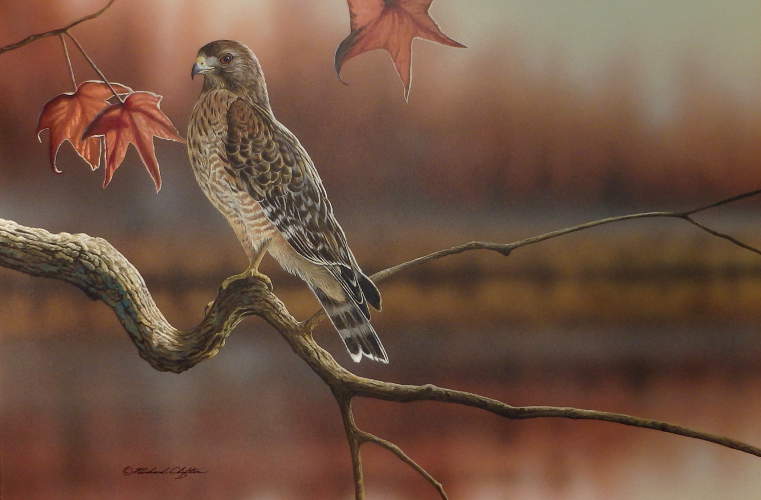 Autumn Mist - by Richard Clifton