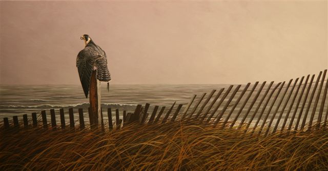 Wildlife Art by Richard Clifton