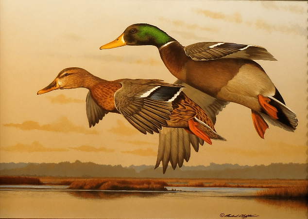 "Over the Marsh" Mallards- by Richard Clifton