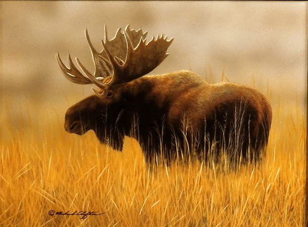 Teton Bog Moose - by Richard Clifton