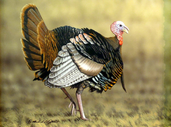 Two Step Turkey - by Richard Clifton
