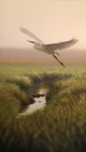 Across The Marsh Egret by Richard Clifton