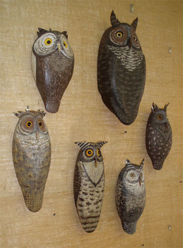 A selection of Owls by Russ Allen