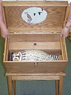 Owl in box