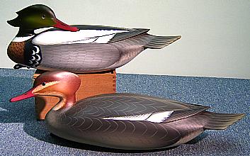 Red-Breasted Merganser Pair