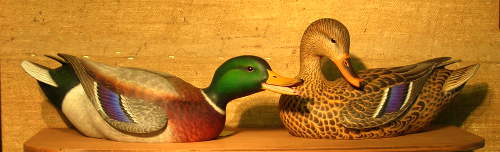Decoys Wildlife Gallery