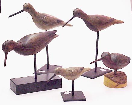 Group Mark McNair Shorebirds