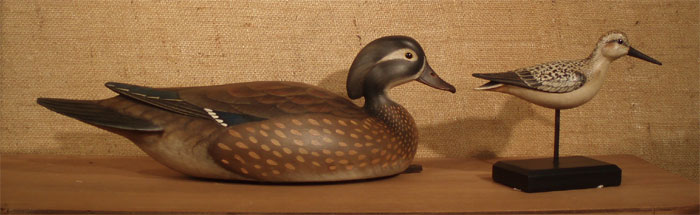 Hen  Wood Duck & Sandpiper by Bill Gibian