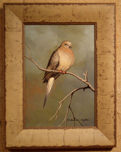 Mourning Dove by Richard Clifton ...loading...