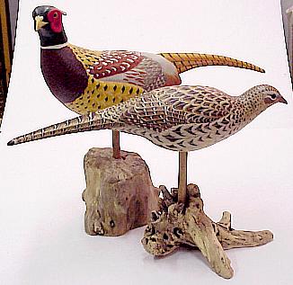Pair of Ringneck Pheasants
