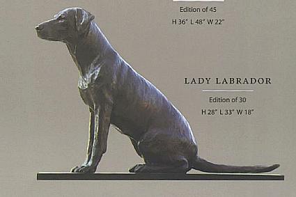 Lady Labrador