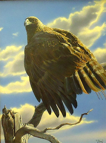 Golden Eagle - by Al Agnew