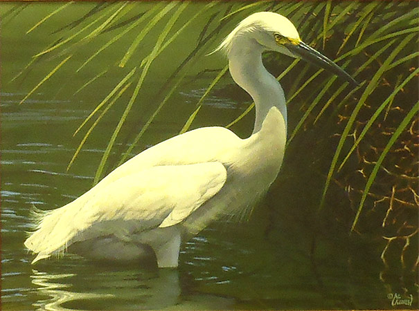 Egret - by Al Agnew